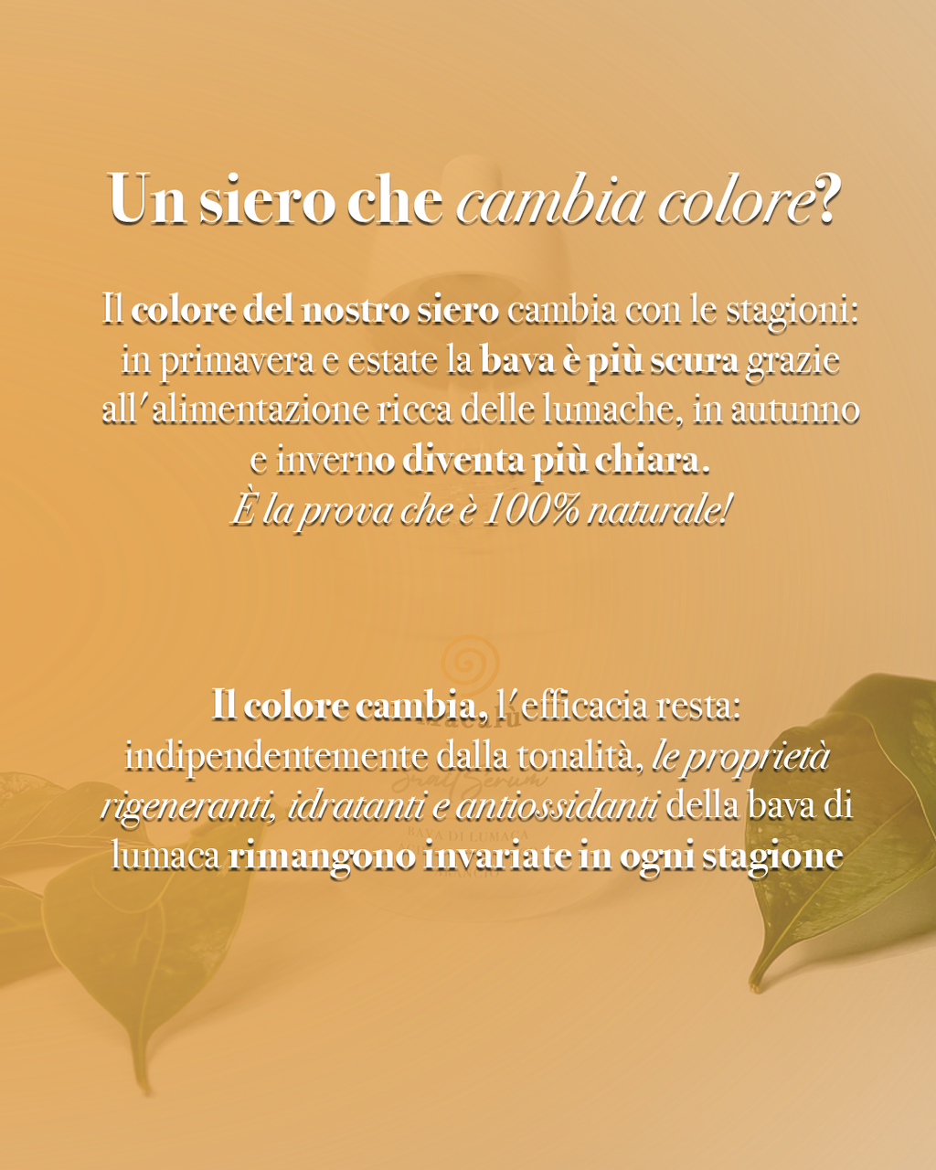 Siero Viso 30 ml - Bava di Lumaca